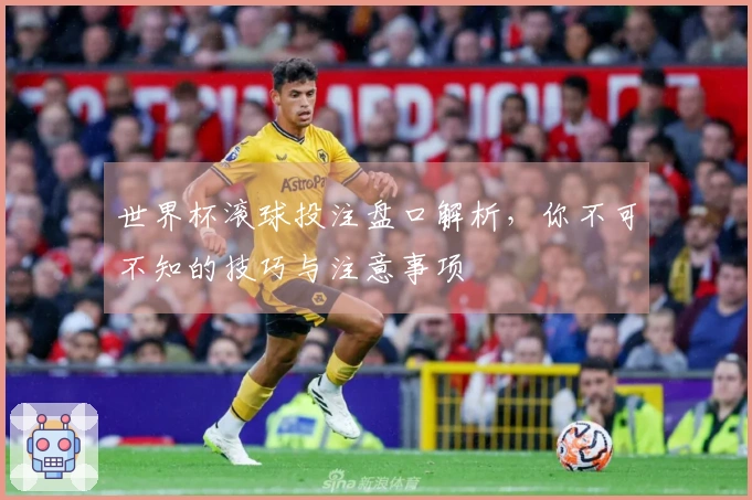 世界杯滚球投注盘口解析，你不可不知的技巧与注意事项