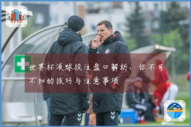 世界杯滚球投注盘口解析，你不可不知的技巧与注意事项