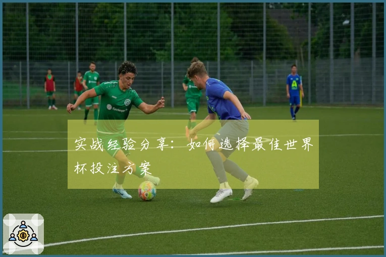 实战经验分享：如何选择最佳世界杯投注方案