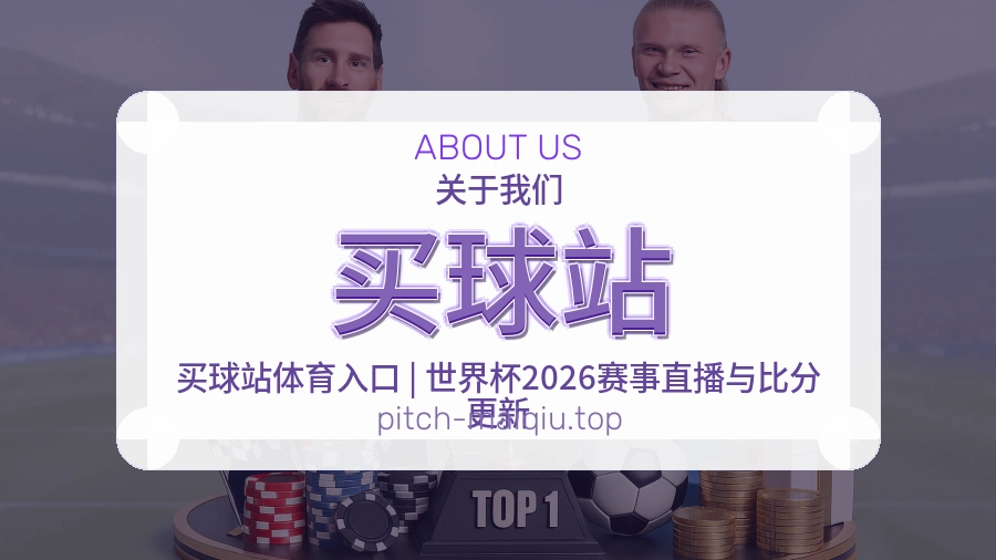关于 买球站 团队与服务